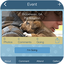 events tab